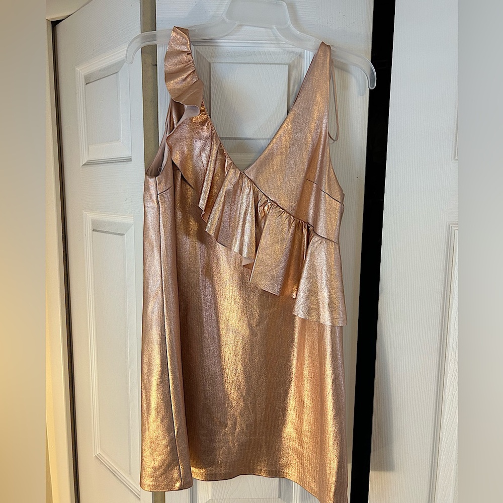 Zara Mini Dress